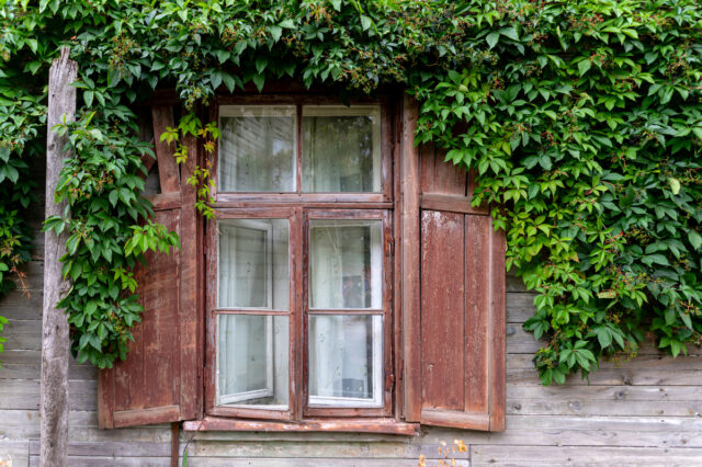 double vitrage de rénovation sur ancienne fenêtres bois​