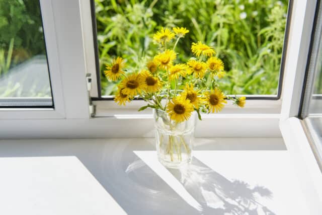 Fenêtre double vitrage : avantages, types et astuces pour bien choisir