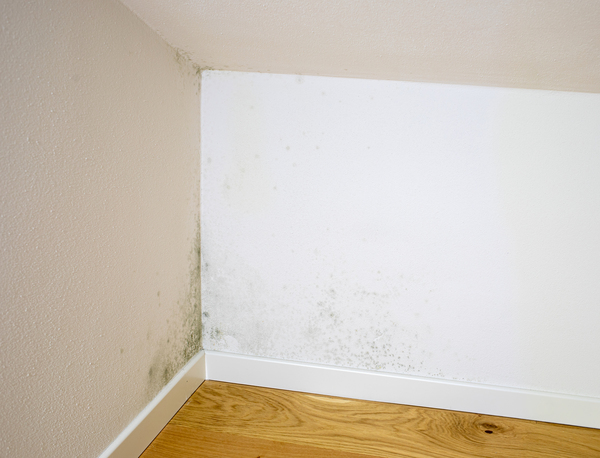 isoler un coin de mur interieur humide que faire pour améliorer le confort thermique.