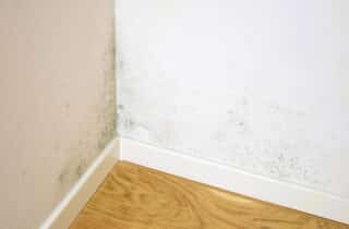 Isolation du coin de mur intérieur contre les moisissures : quelles sont les différentes solutions ?