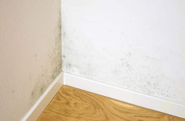 Isolation du coin de mur intérieur contre les moisissures : quelles sont les différentes solutions ?
