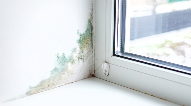 Isoler un coin de mur intérieur humide : que faire et quelles solutions adopter ?