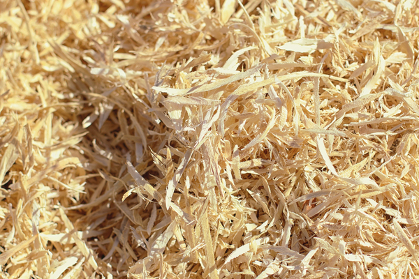 Sciures de bois pour la fabrication de laine de bois isolation.